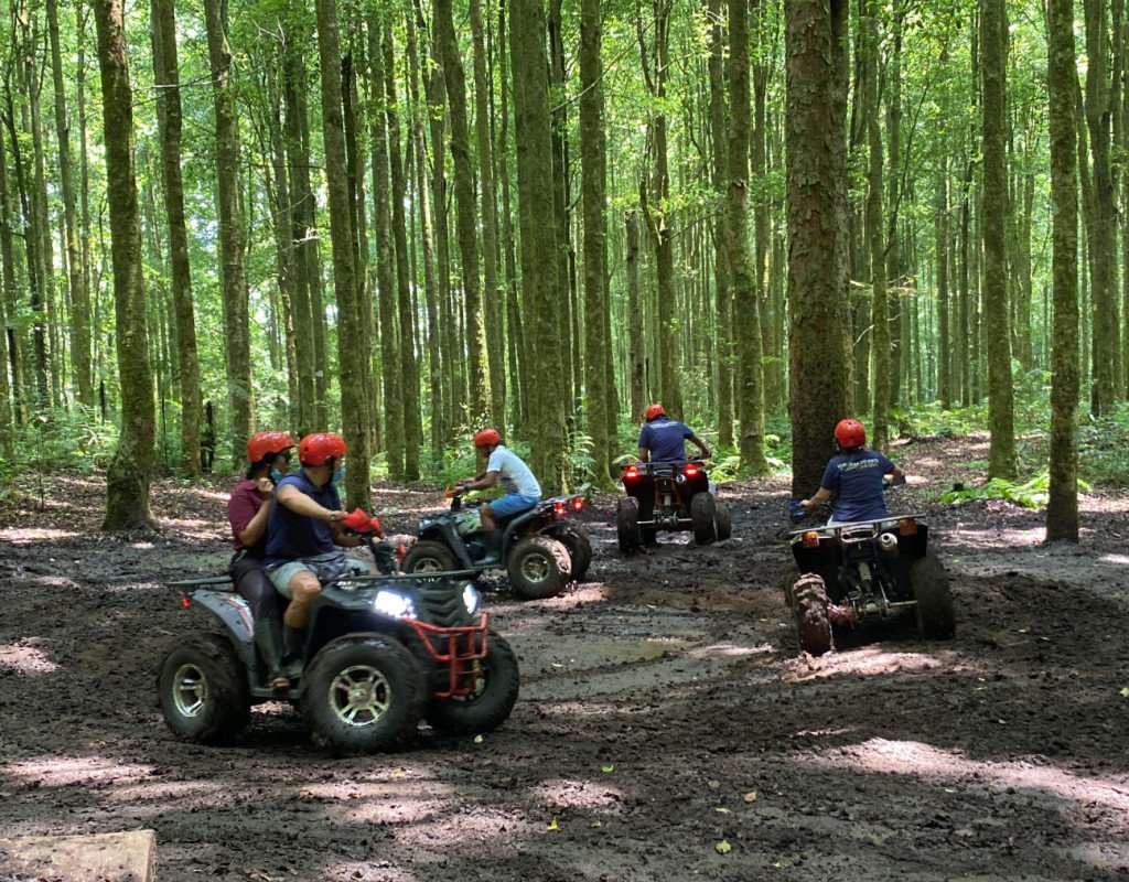 Forest ATV Adventure by WIS