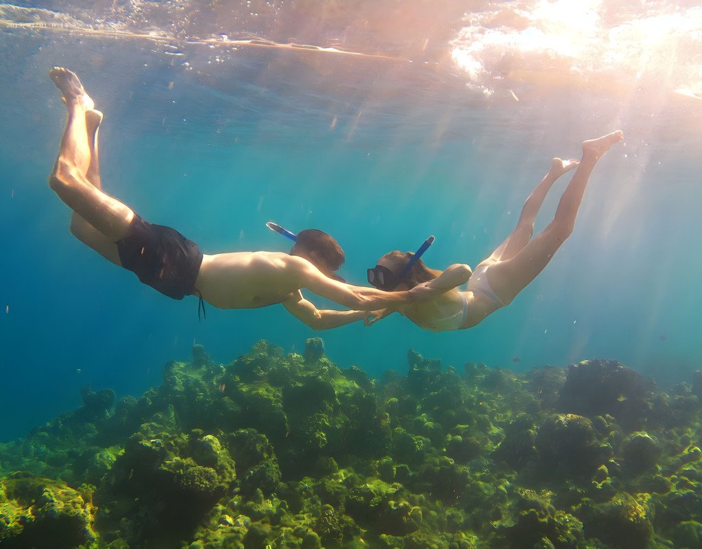 Fun Mangrove Tour and Snorkeling